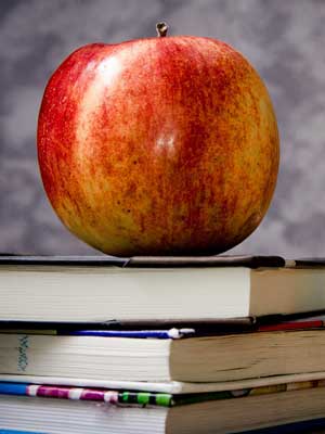 小黑ddos压力测试平台